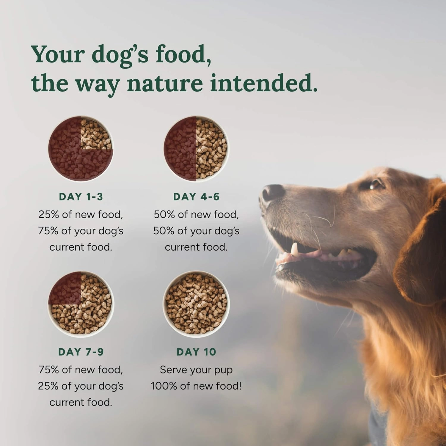 360 Pet Nutrition Freeze-Dried Raw Dog Food, High-Protein Complete Meal w/Beef, Chicken, Fish, Organs, Superfoods, No Fillers, 16 oz Bites/Kibble (Multi-Meat) – Made in USA
