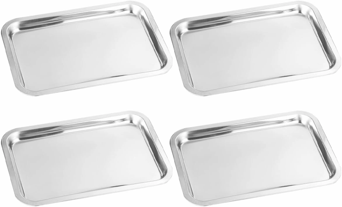 4Pcs Stainless Steel Plate Food Storage Plates for Self Feeding Picnics and Camping Dinnerware
