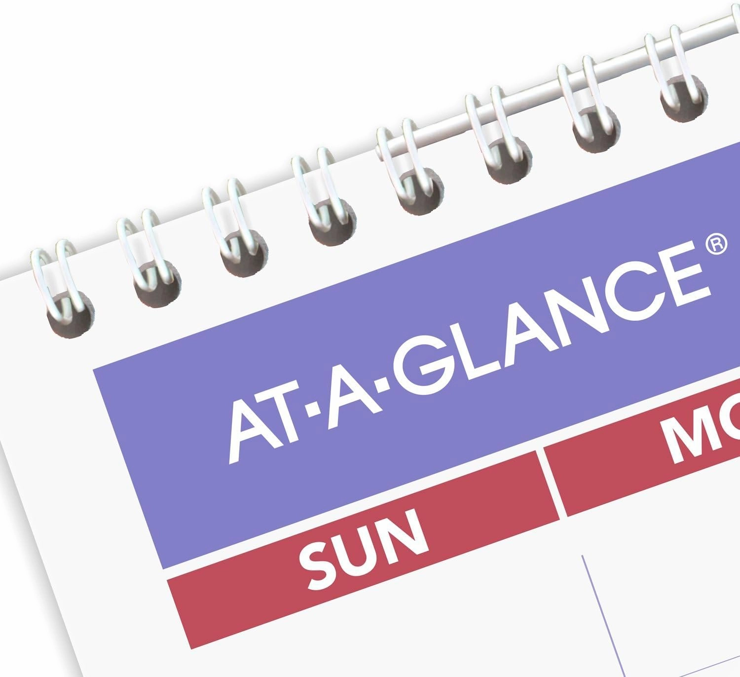 AT-A-GLANCE 2025 Wall Calendar, 12" x 17", Medium Tall (PM22825)