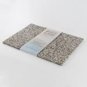 Beach Clean Set of 4 Placemats