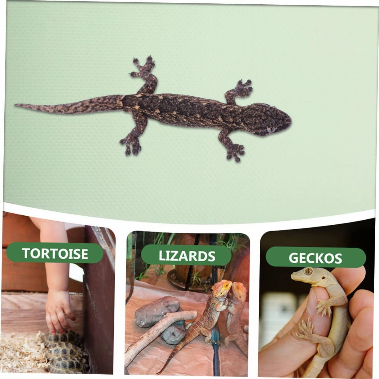 Bearded Dragon Cage Accessories Reptile Supplies Carpet Liner Snake Gecko Tank Bedding