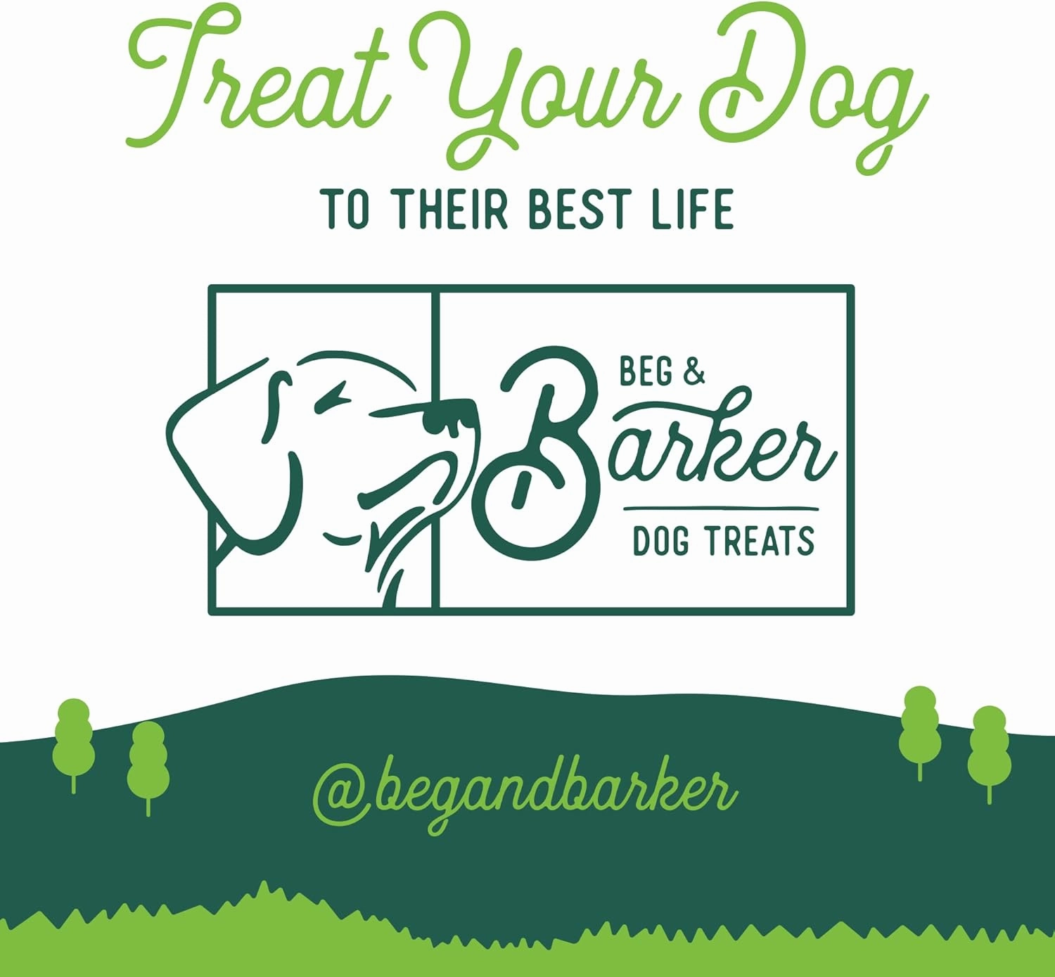 Beg & Barker Chicken Jerky for Dogs (10 Ounce, Pack of 2) - Dog Training Treats - Natural Dog Treats Made in The USA - Grain Free, Diabetic-Friendly, High Protein, Sugar-Free