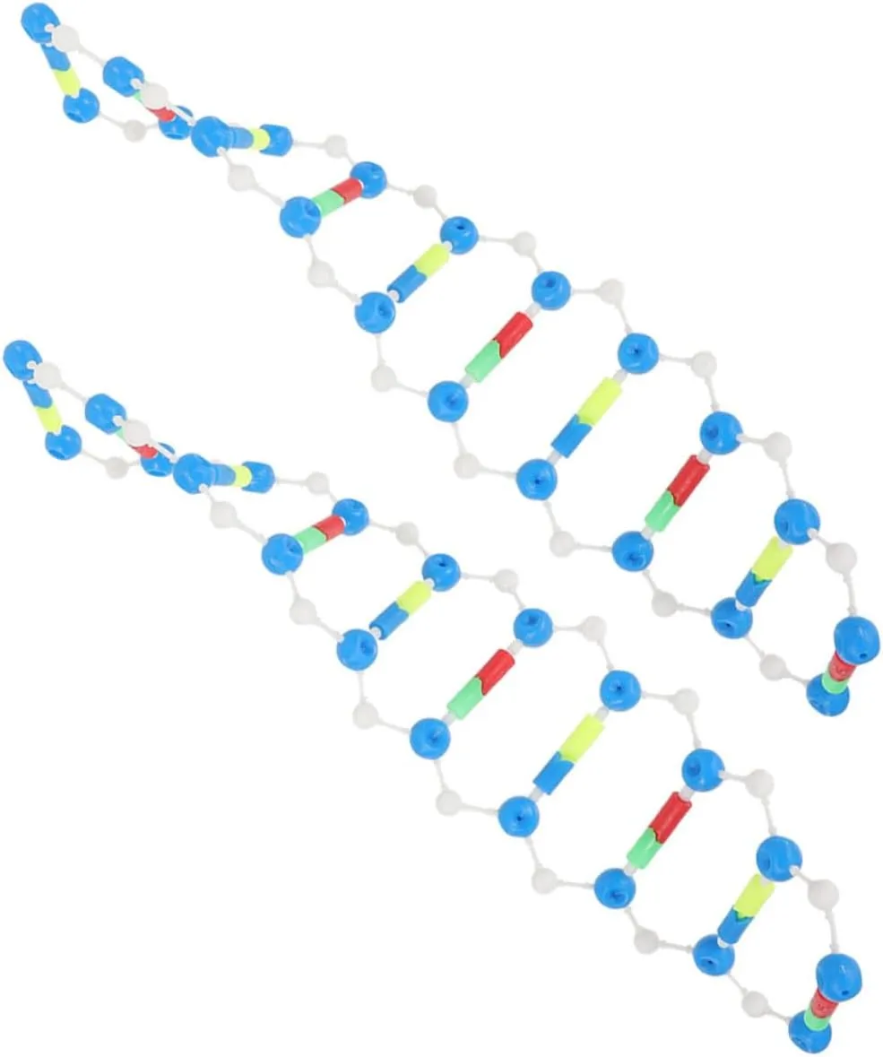 BESPORTBLE Molecular Model Kit Double Helix for Classroom Research Student Exploration