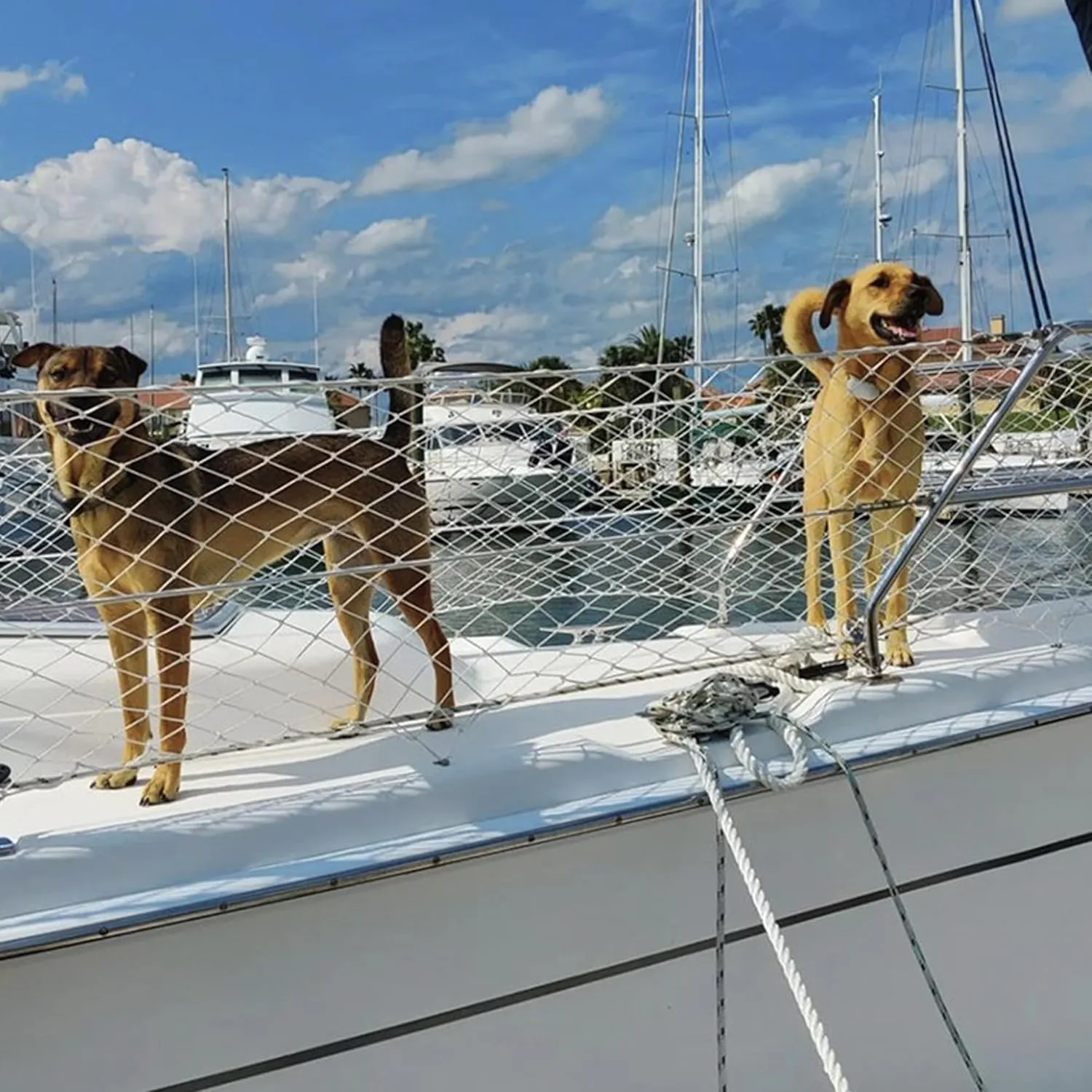 Boat Safety Lifeline Netting,Safety Guardrail Netting,Safe Banister Railing Netting,Nylon Net.Keeping Kids, Crew, Pets and Equipment Safely on Deck.Keeping Everyone Secure. (Length-30 Feet)