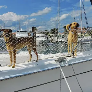 Boat Safety Lifeline Netting,Safety Guardrail Netting,Safe Banister Railing Netting,Nylon Net.Keeping Kids, Crew, Pets and Equipment Safely on Deck.Keeping Everyone Secure. (Length-30 Feet)
