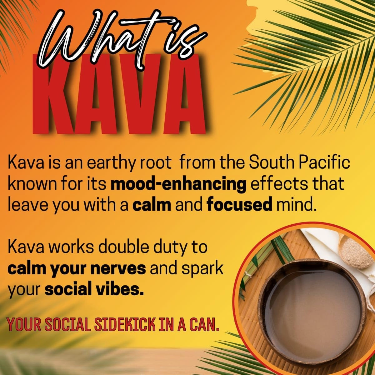 Botanical Brewing Peach & Orange Mix Duo - Kava Drink with Kava Root Extract | Refreshing & Sparkling Kava Seltzer | Alcohol-Free, Vegan & Low-Calorie Naturally Sweetened Agave 12 Fl oz Cans, 4-Pack