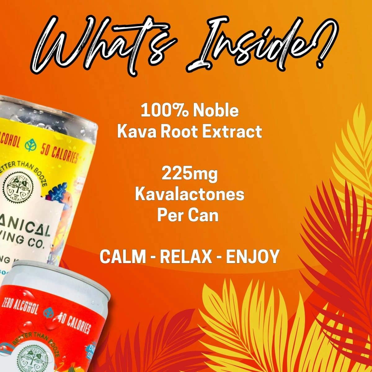 Botanical Brewing Peach & Orange Mix Duo - Kava Drink with Kava Root Extract | Refreshing & Sparkling Kava Seltzer | Alcohol-Free, Vegan & Low-Calorie Naturally Sweetened Agave 12 Fl oz Cans, 4-Pack