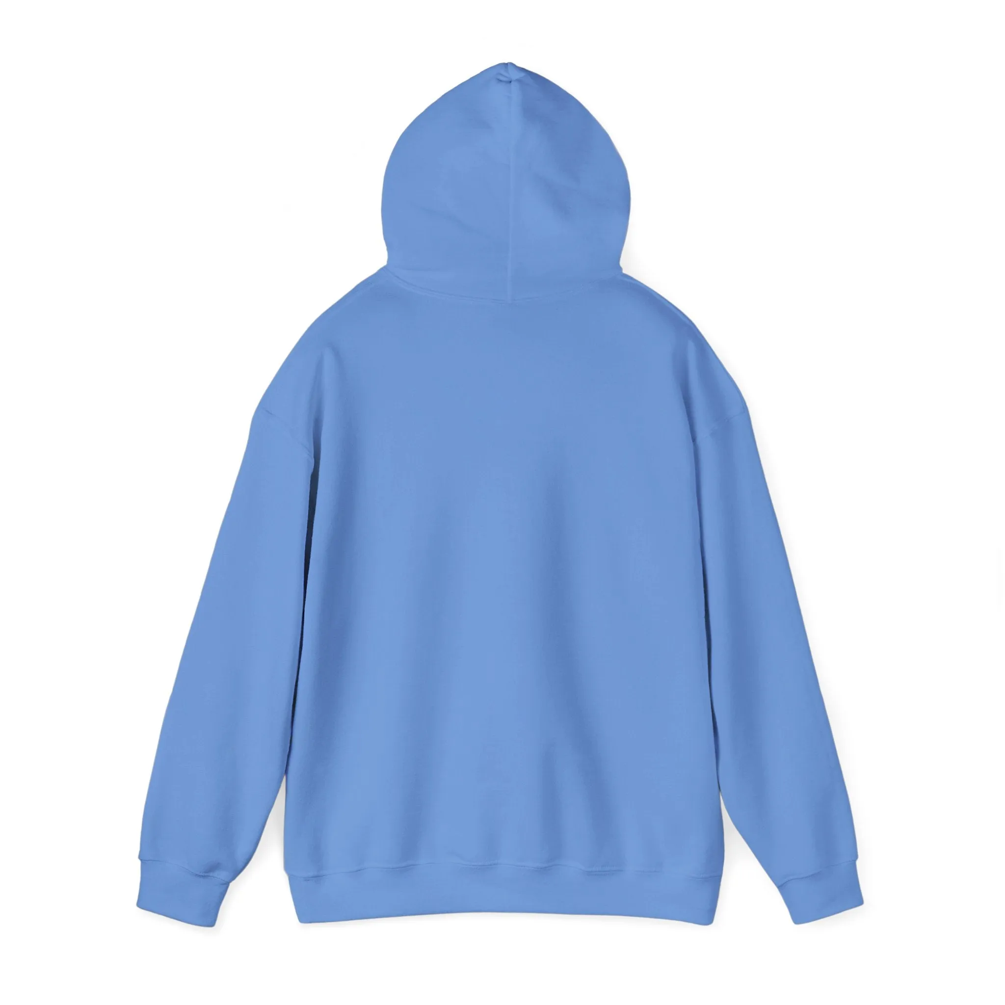 Bunny hoodie