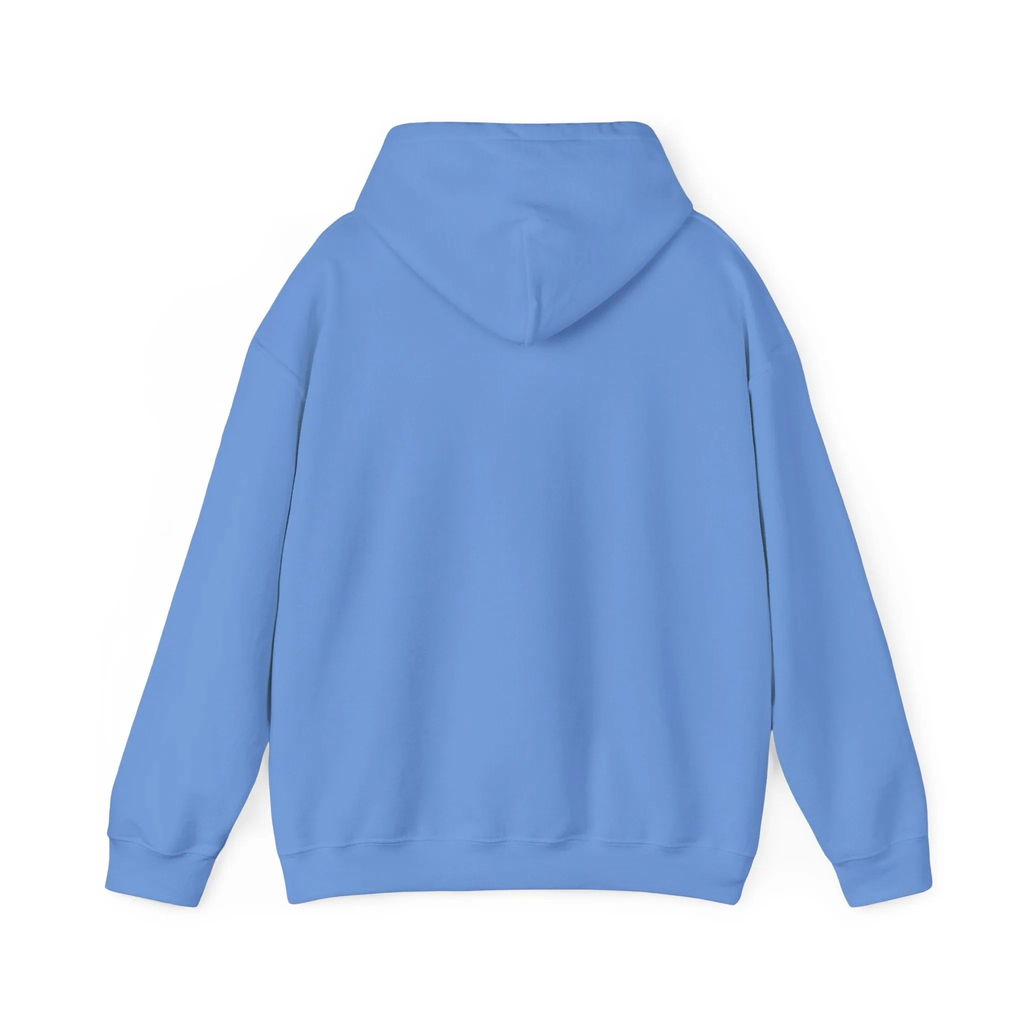 Bunny hoodie