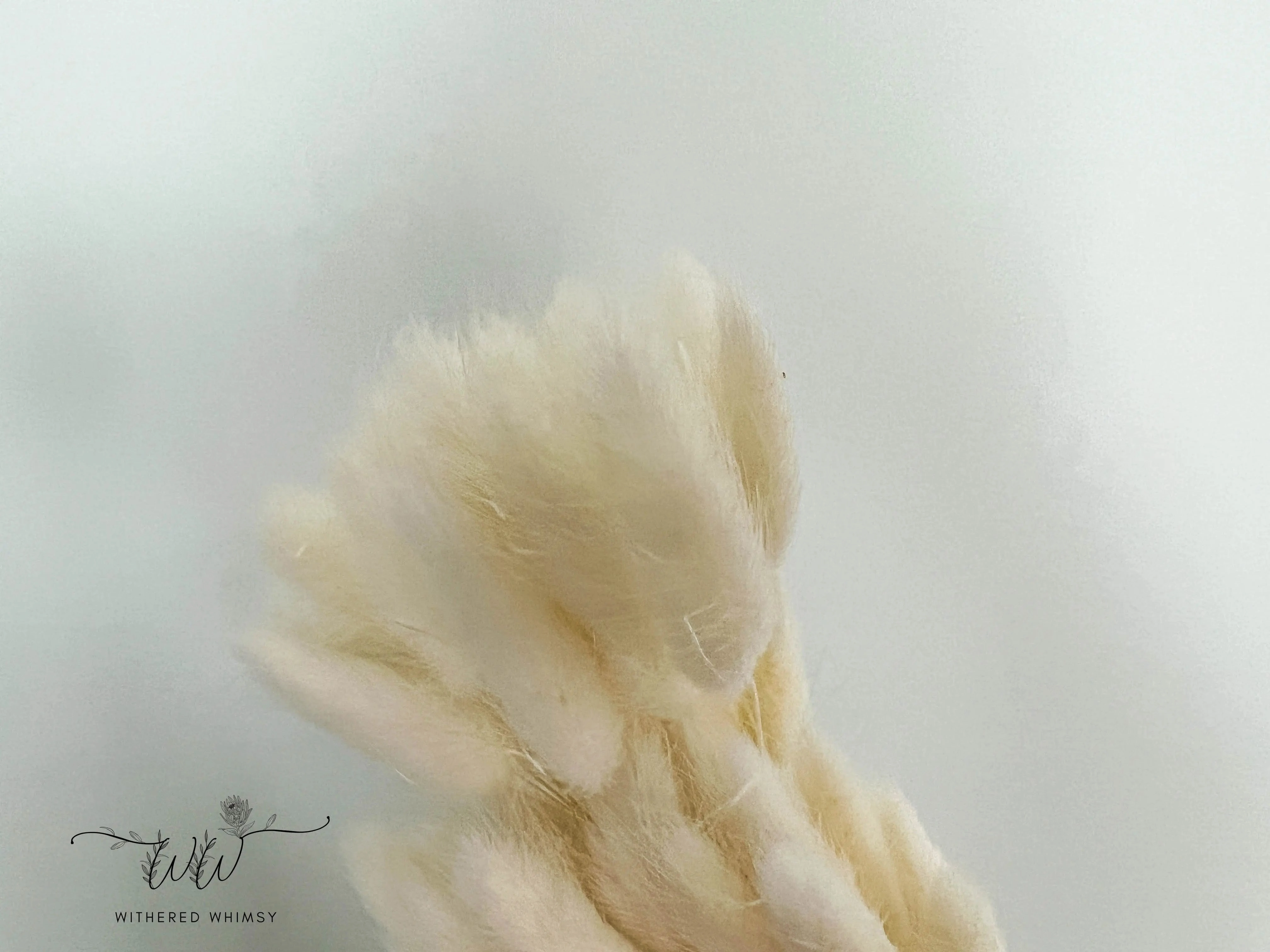 Bunny Tails - Cream