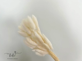 Bunny Tails - Cream