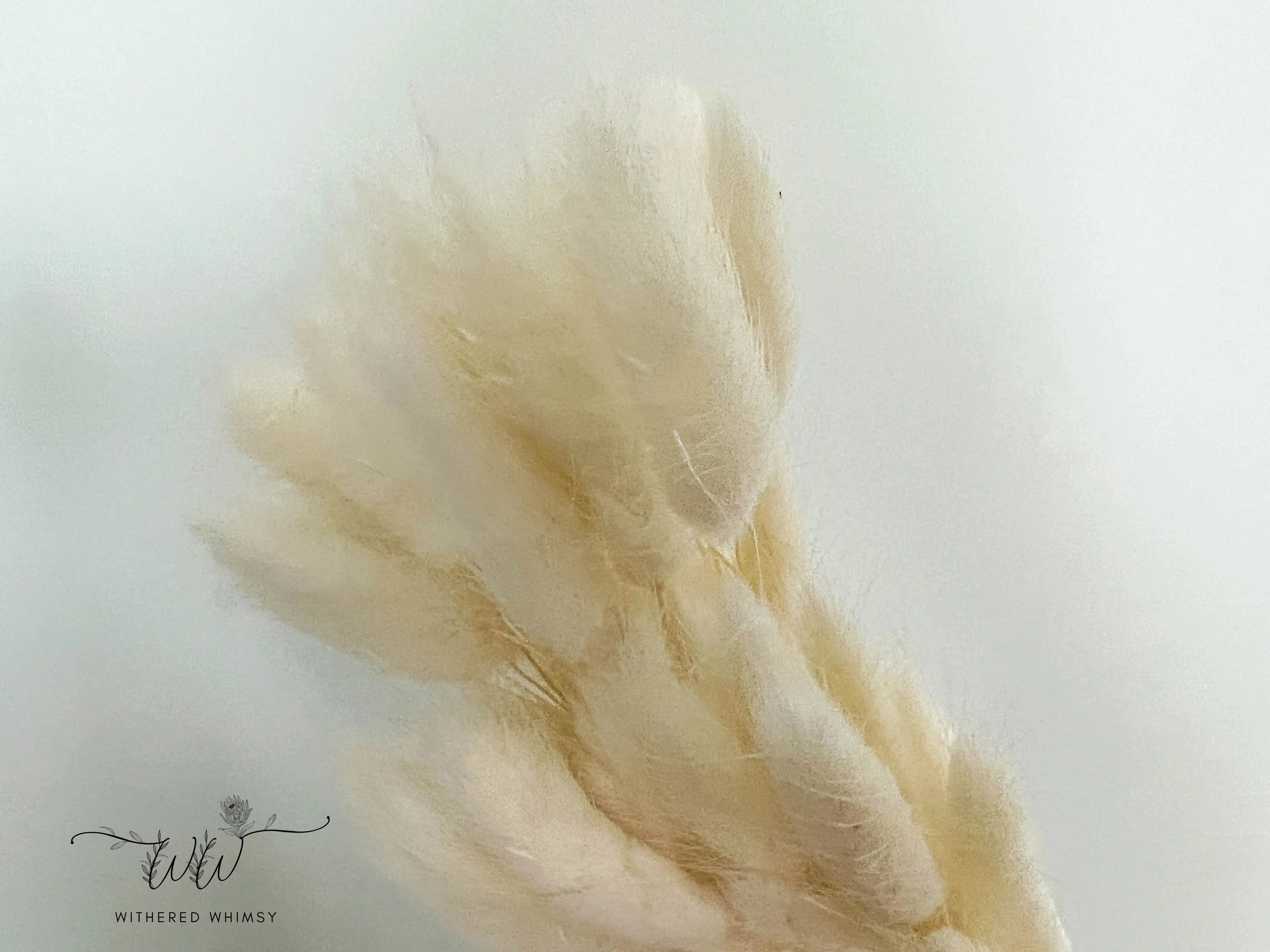 Bunny Tails - Cream