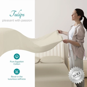 Carressa Linen 100% Egyptian Cotton Sheets Queen Size - 800 Thread Count 4 PC Cotton Sheets for Queen Size Bed, Soft, Extra Long Staple Cooling Sheets, Luxury Hotel Sheets, 16" Deep Pocket - Sand