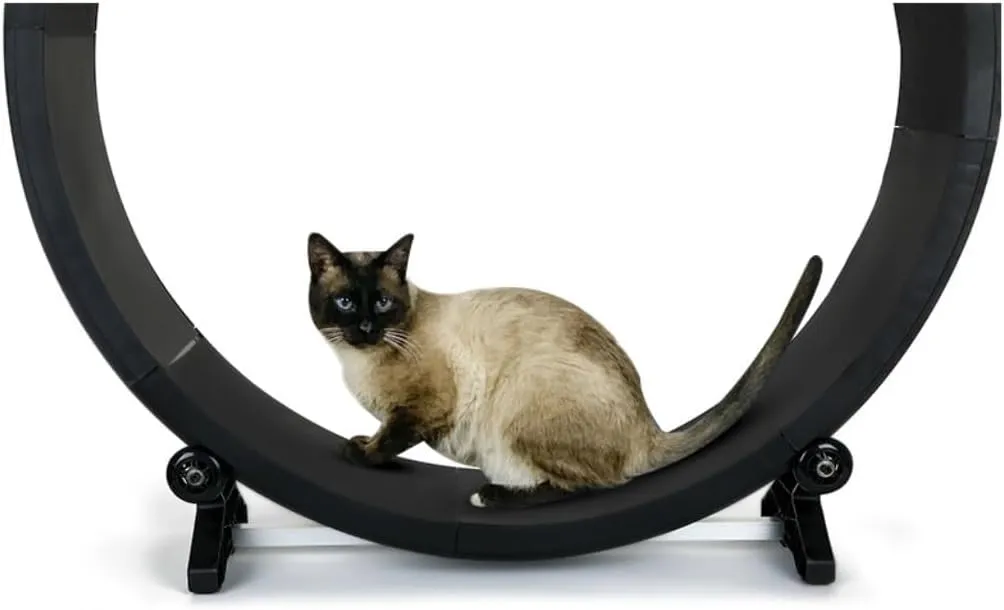 Cat Wheel Exerciser Cat Treadmill Fitness Claw Grinding Sports Pet Treadmill Multi-Functional Silent Treadmill Home Indoor Daily Exercise for Cats