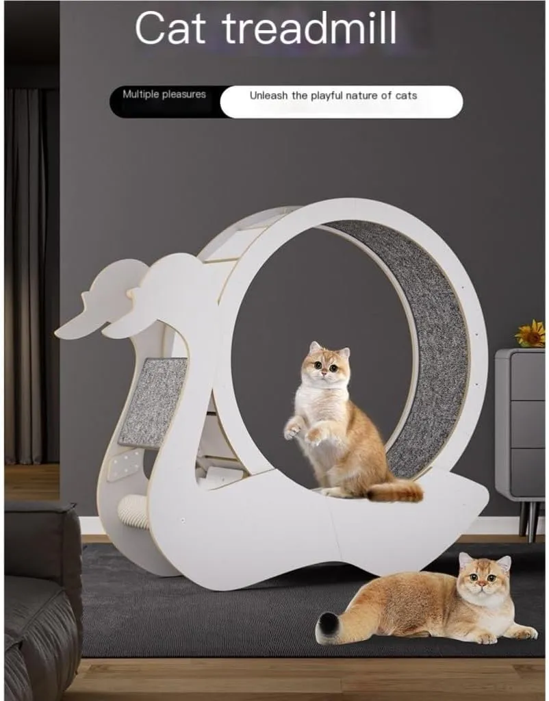 Cat Wheel Large Cat Treadmill Cat Roller Fitness Artifact Cat Toy Silent Cat Cat Claw Scratching Board Home Indoor Cat Wheel Cat Wheels