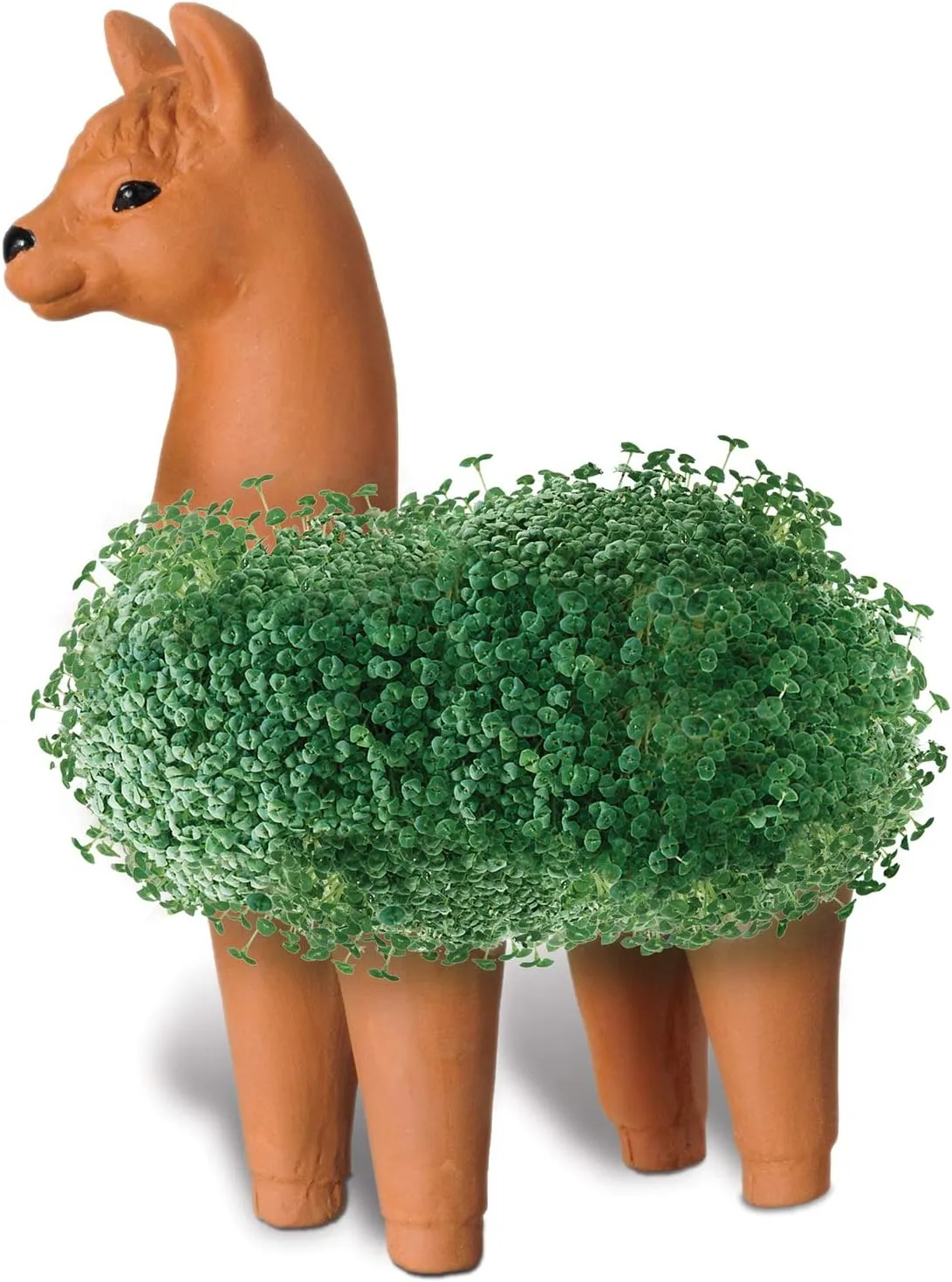 Chia Pet Llama with Seed Pack, Decorative Pottery Planter, Easy to Do and Fun to Grow, Novelty Gift, Perfect for Any Occasion