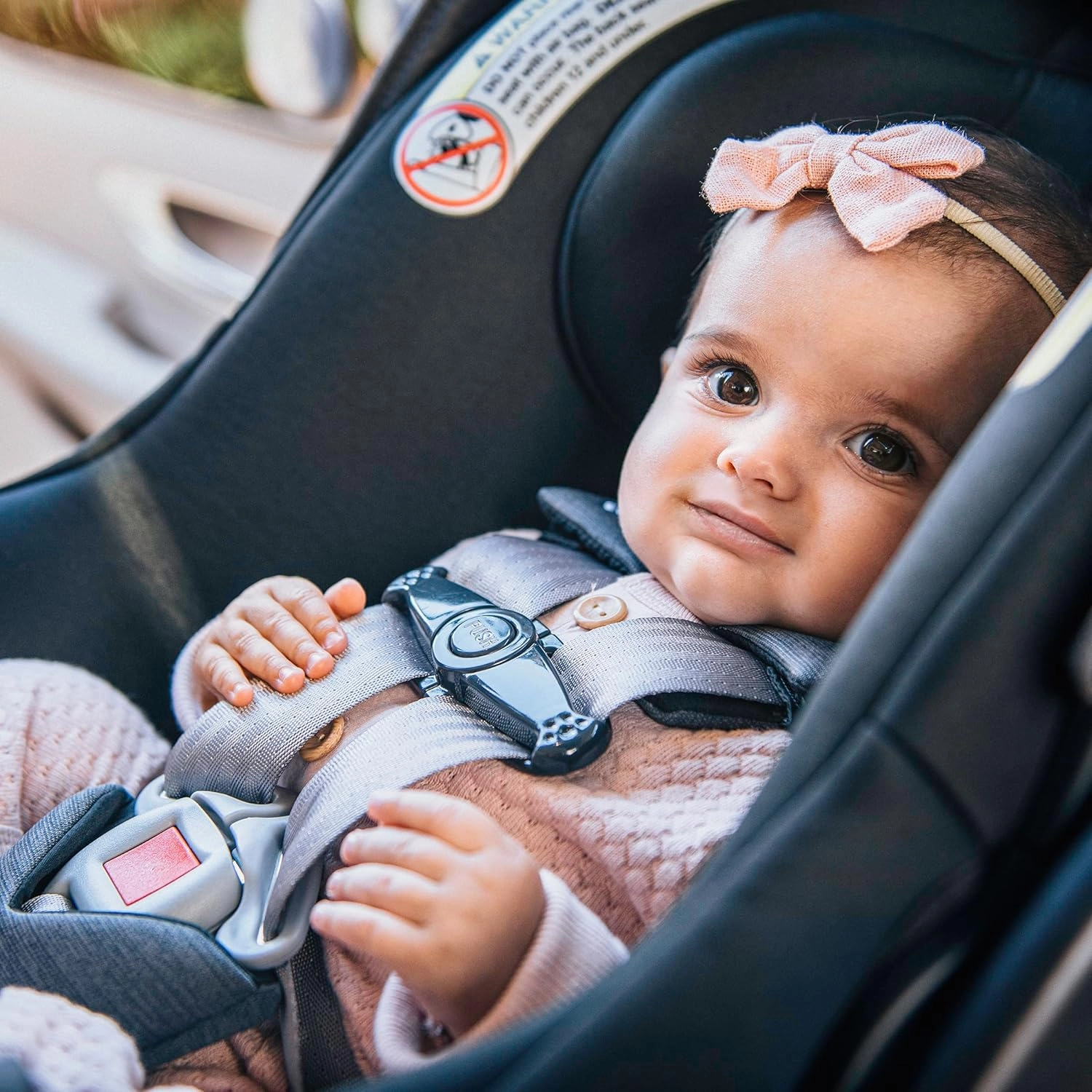 Chicco KeyFit® Max ClearTex® Infant Car Seat and Base, Rear-Facing Seat for Infants 4-30 lbs., Infant Head and Body Support, Compatible with Chicco Strollers, Baby Travel Gear | Lupine/Purple