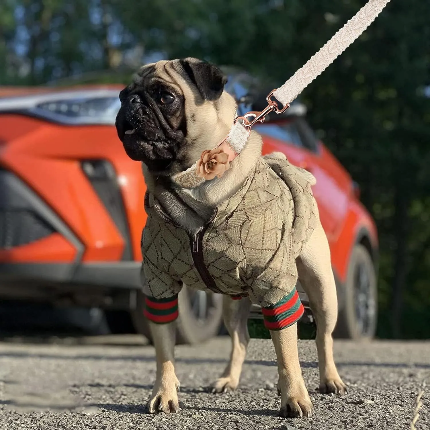 Dog Hoodie Luxury Dog Clothes Winter Puppy Jacket Classic Designer Pet Clothes Coat French Bulldog Teddy Pug