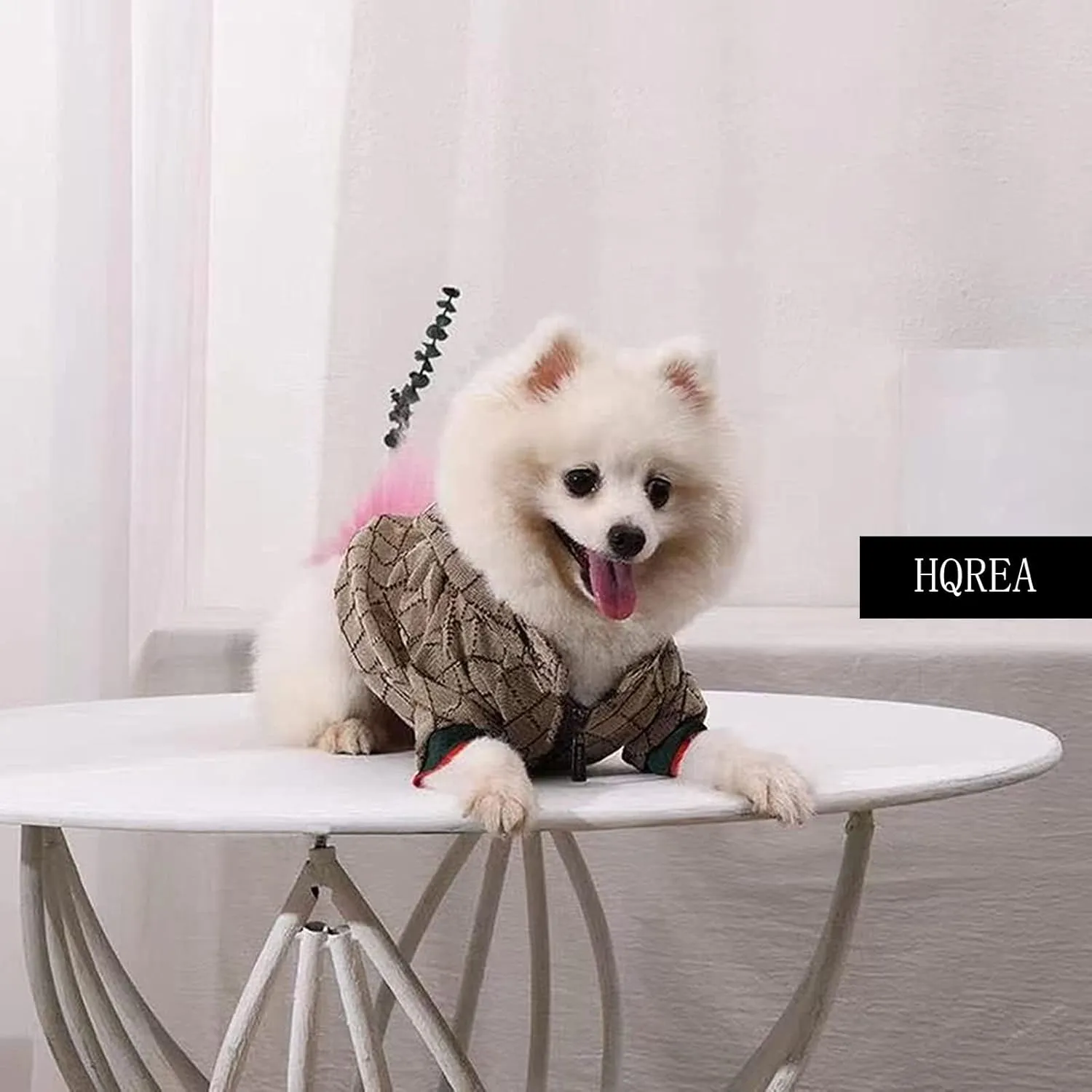 Dog Hoodie Luxury Dog Clothes Winter Puppy Jacket Classic Designer Pet Clothes Coat French Bulldog Teddy Pug