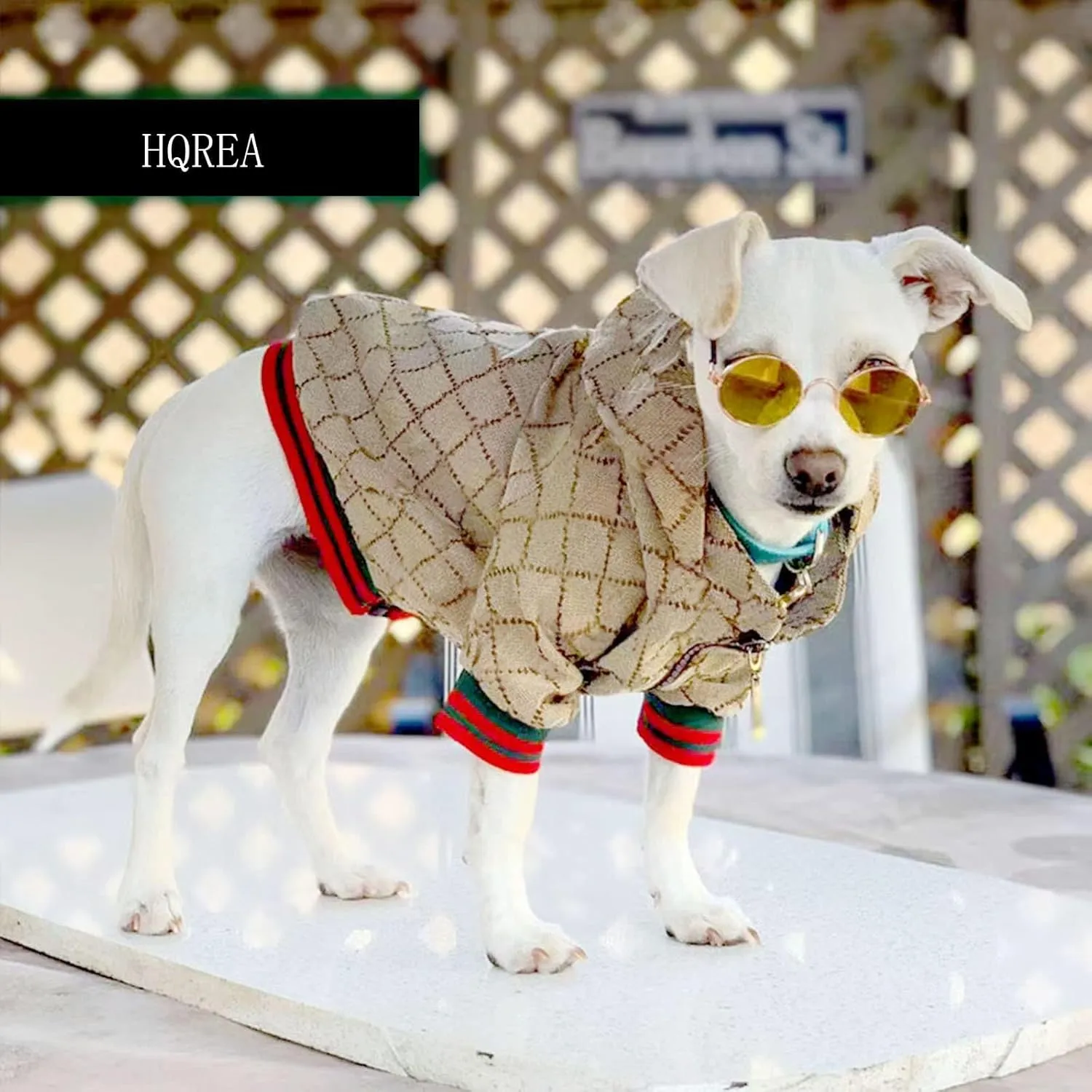 Dog Hoodie Luxury Dog Clothes Winter Puppy Jacket Classic Designer Pet Clothes Coat French Bulldog Teddy Pug