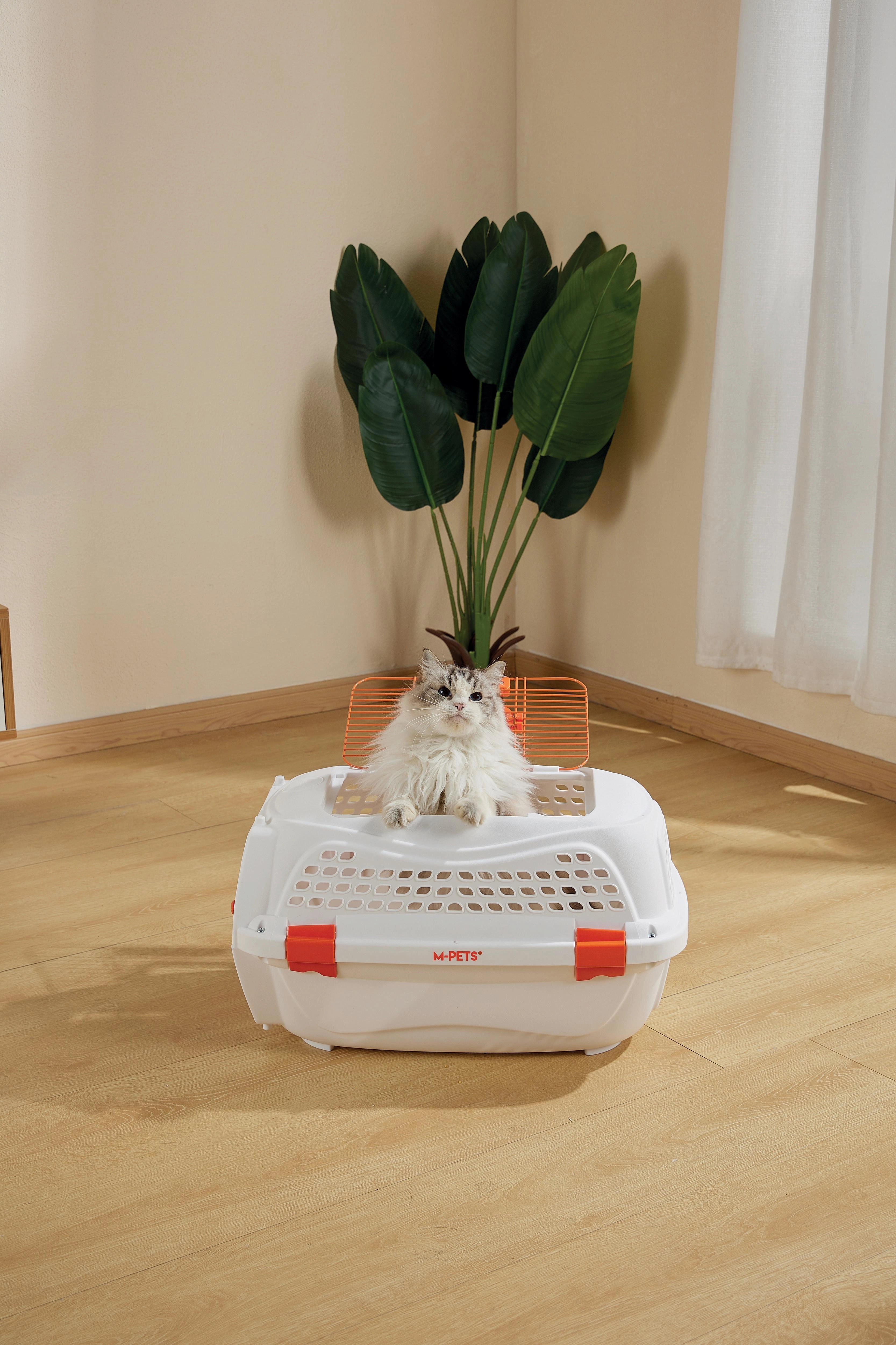 ECO GIRO Carrier White