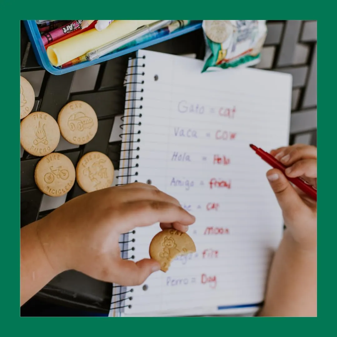 EDUCATIONAL SNACKS – English & Spanish Bilingual Edition | Nut-Free Educational Snacks for Kids | Learn 50  Vocabulary Words & Numbers in Two Languages – Different Mix in Every Bag | 24-Pack for ESL Groups & Family Learning