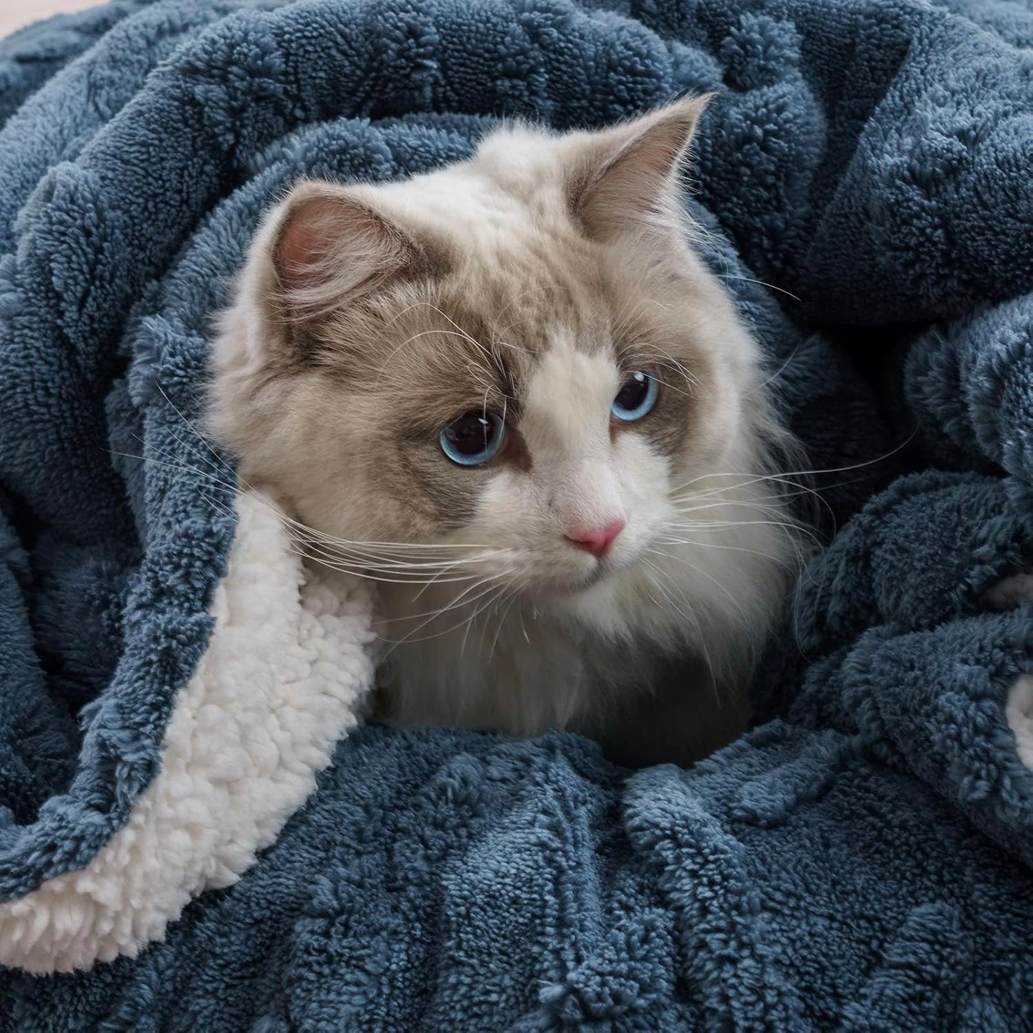 EVERGRACE Classic Cable Jacquard Sherpa Fleece Throw Blanket for Couch, Soft Cozy Fuzzy Plush Blankets for All Seasons, Reversible Thick Warm Blanket for Bed, Sofa, Living Room, Stormy Blue, 50" x 60"