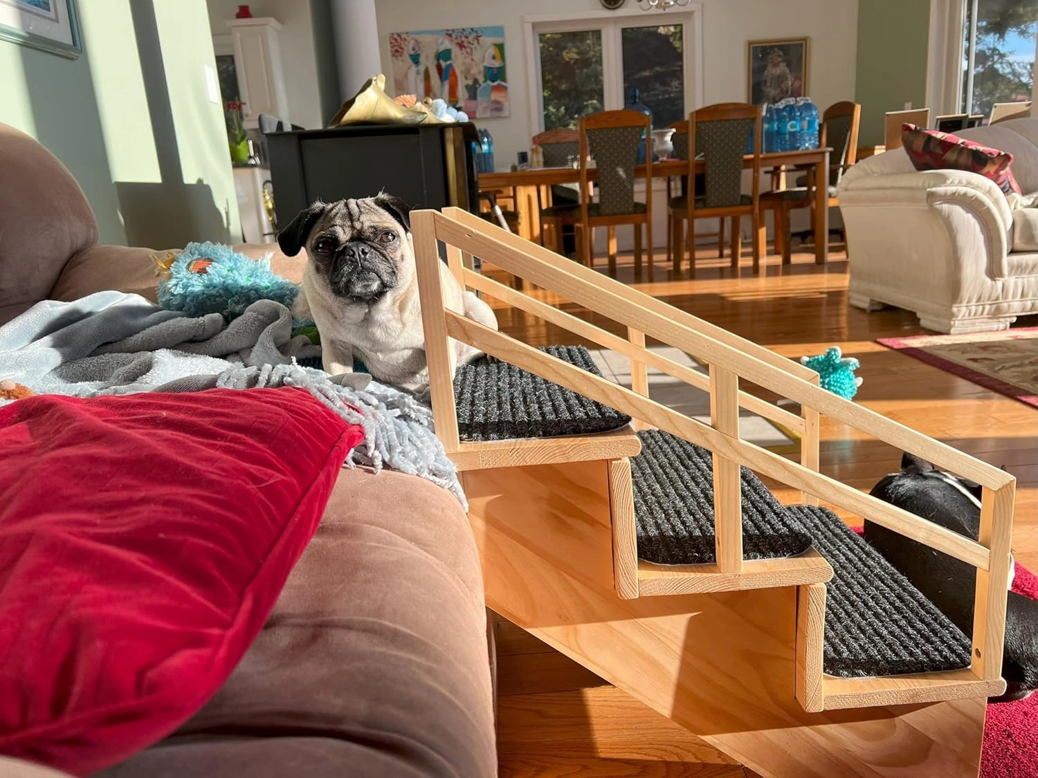 Gentle Rise Pet Steps with Safety Rails | 3 Step Dog Stairs for Couch, Sofa, Bed | Steps with Non-Slip Carpet | Pet Stairs for Small and Big Dogs | 16" High Dog Steps