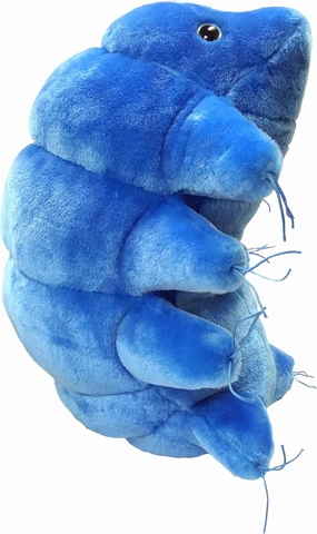 GIANTmicrobes Gigantic 17" Tardigrade Plush Toy, Water Bear Plush Toy, Water Bear, Biology Gifts, Microbiology Gifts, Tardigrade Stuffed Animal, Stuffed Tardigrade Gifts, Water Bear Stuffed Animal
