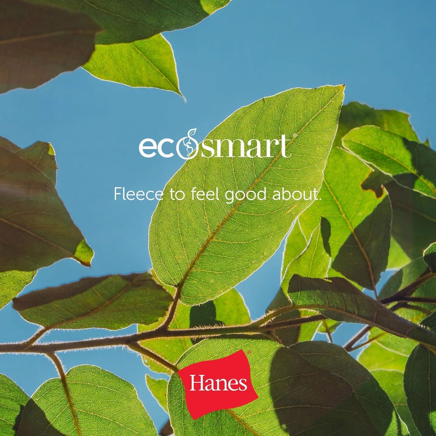 Hanes Men's EcoSmart Fleece, Pullover Crewneck Sweatshirt, 1 or 2 Pack