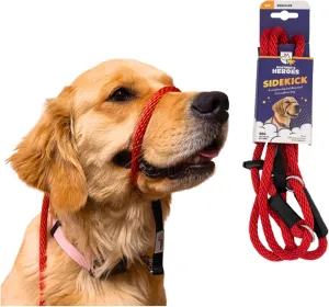 Heather's Heroes Sidekick Dog Headcollar with Leash - Sidekick Leash for Dogs, Effective Dog Training Tool for Leash Reactivity and Behavior Issues (Regular (3/8"), Red)