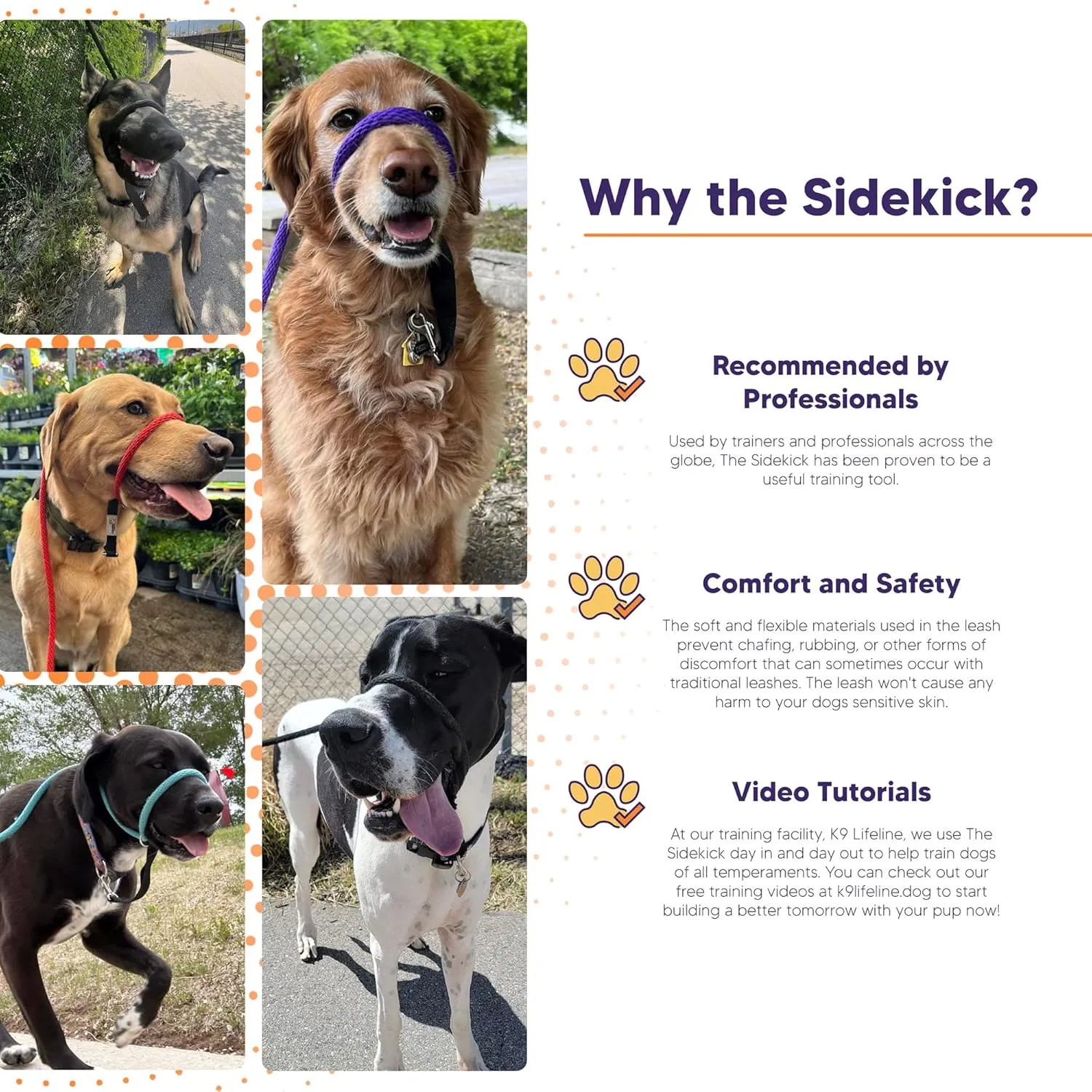 Heather's Heroes Sidekick Dog Headcollar with Leash - Sidekick Leash for Dogs, Effective Dog Training Tool for Leash Reactivity and Behavior Issues (Regular (3/8"), Red)