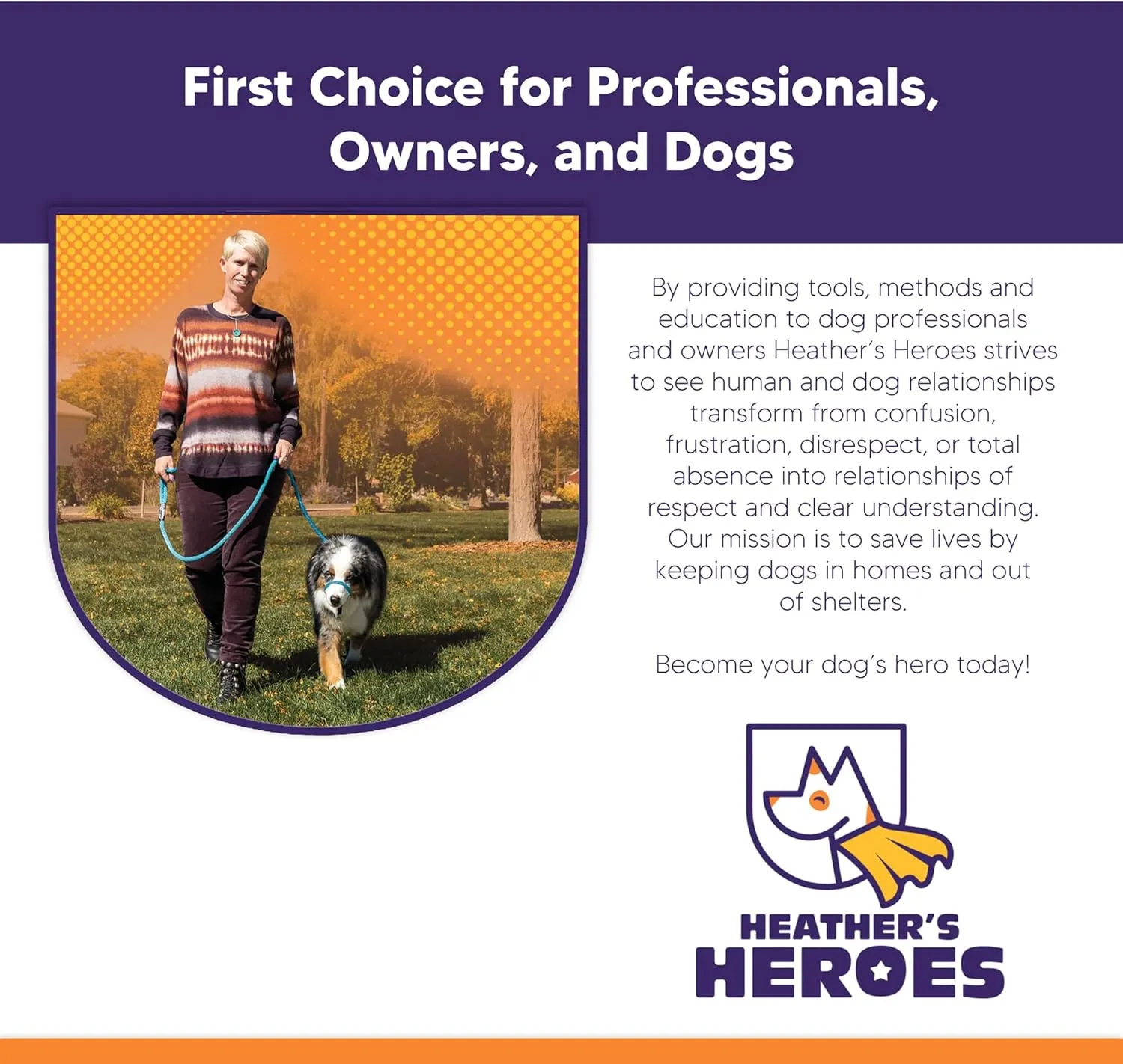 Heather's Heroes Sidekick Dog Headcollar with Leash - Sidekick Leash for Dogs, Effective Dog Training Tool for Leash Reactivity and Behavior Issues (Regular (3/8"), Red)