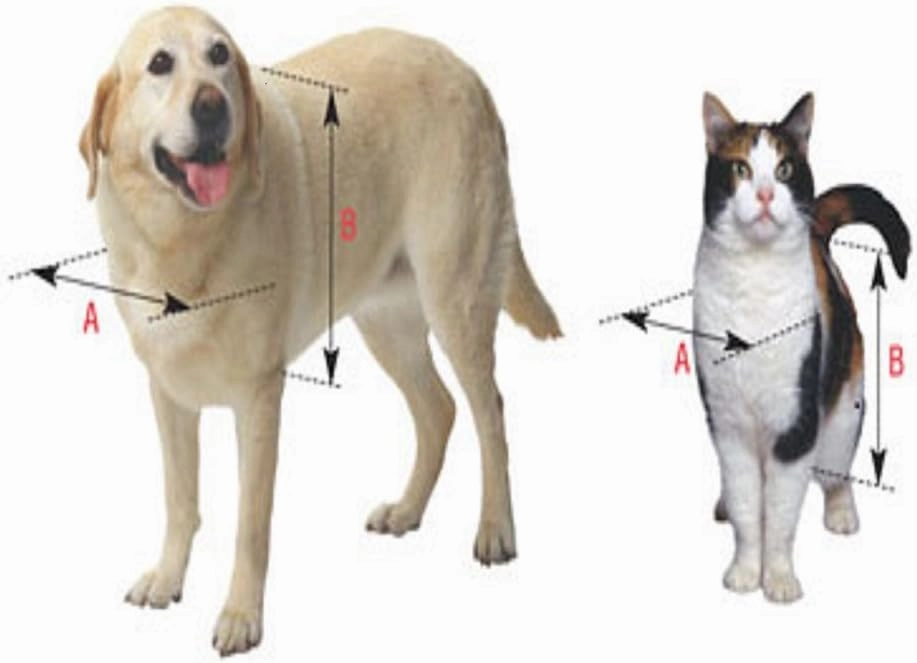 Ideal Pet Products Replacement Flap for Ruff-Weather Pet Door, Super Large, 15" x 23.5" Flap Size