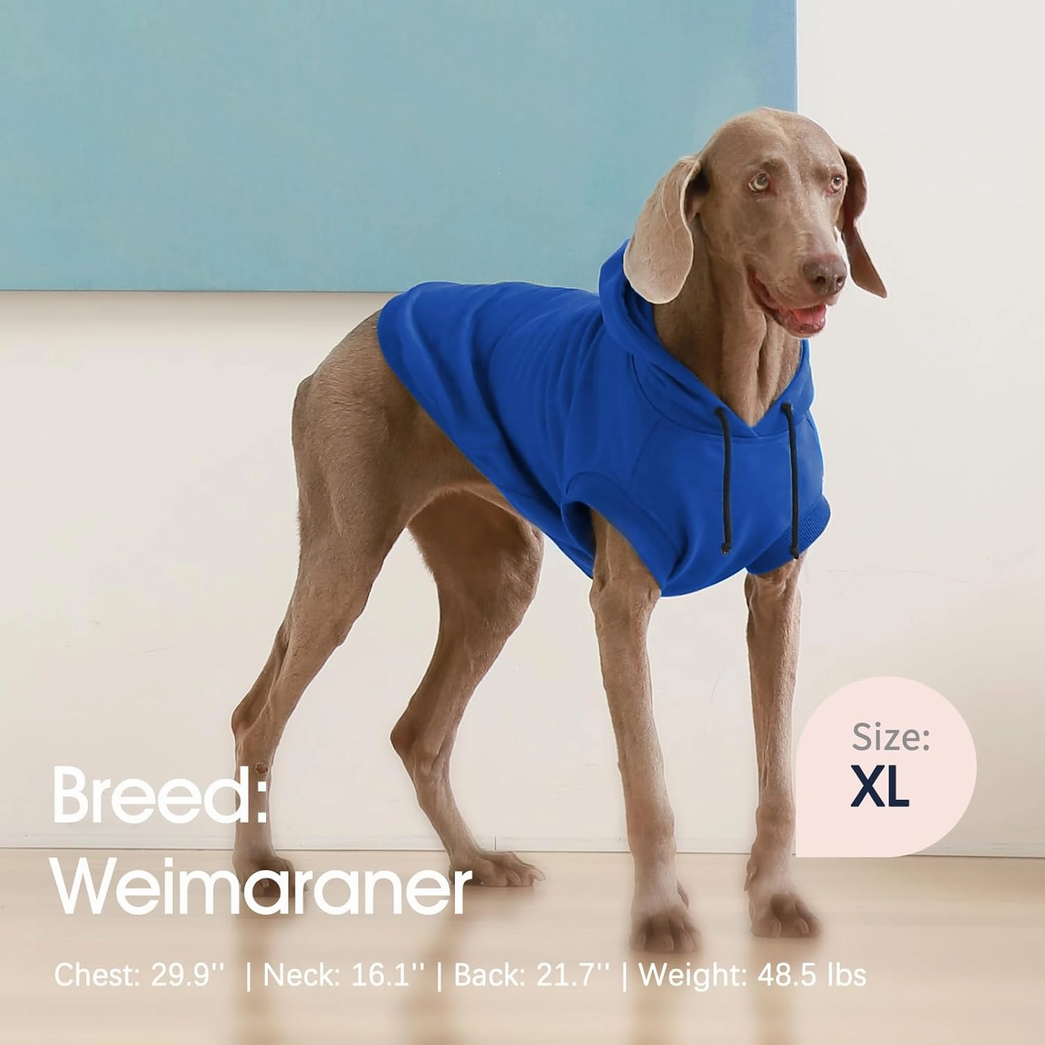 IECOii Dog Hoodie for Large Dogs,Big Dog Clothes with Hood for Extra Large Dogs,Fall Winter Dog Sweatershirt Hoodies,Ropa para Perros Grandes Doberman,Great Dane Sweater,Blue,4XL(No Fleece Lined)