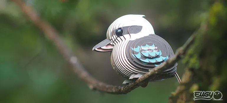 Kookaburra 3D Model Kit