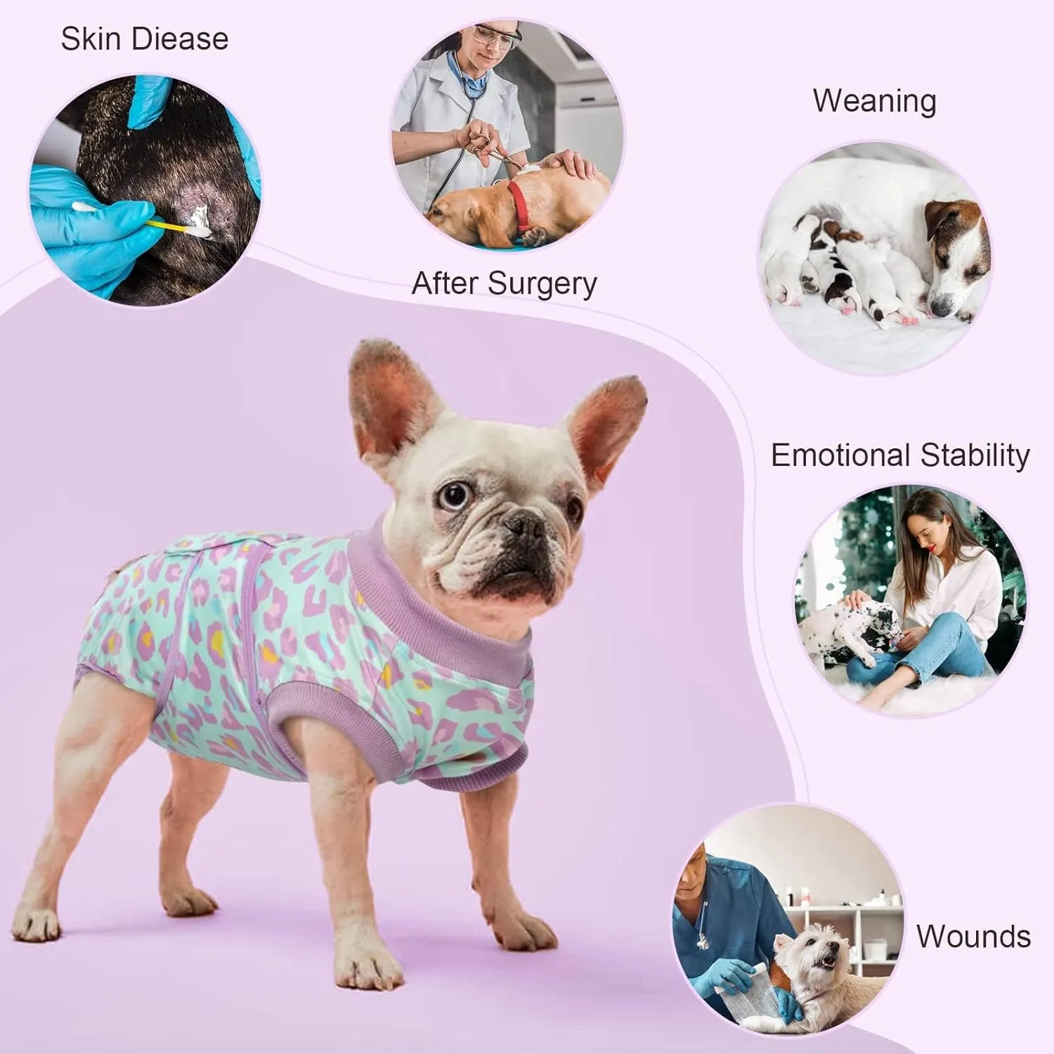 Kuoser Dog Recovery Suit for Dogs After Surgery,Professional Surgical Onesie for Female Male Dogs Spay Neuter,Soft Dog Surgery Suit Bodysuit for Abdominal Wounds Skin Disease,Light Purple Leopard M