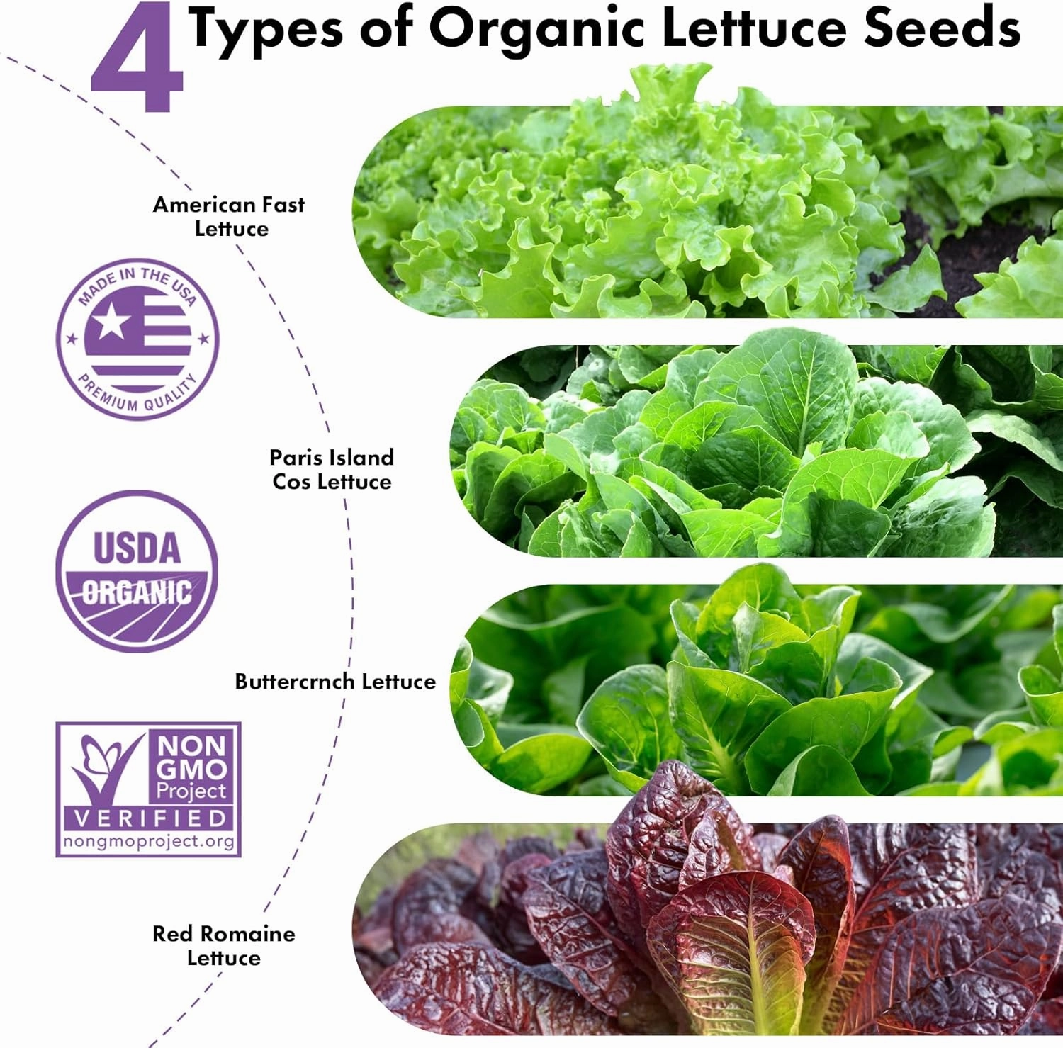 LYKOCLEAN Salad Romaine Lettuce Pods for AeroGarden, Ahopegarden, iDOO Hydroponics Growing System, 350 Seeds  Including American Fast Lettuce, Paris Island Cos Lettuce, Buttercrunch Lettuce(7-Pods)