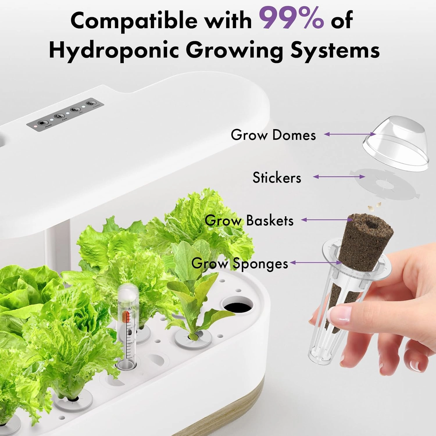 LYKOCLEAN Salad Romaine Lettuce Pods for AeroGarden, Ahopegarden, iDOO Hydroponics Growing System, 350 Seeds  Including American Fast Lettuce, Paris Island Cos Lettuce, Buttercrunch Lettuce(7-Pods)