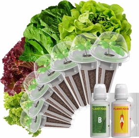 LYKOCLEAN Salad Romaine Lettuce Pods for AeroGarden, Ahopegarden, iDOO Hydroponics Growing System, 350 Seeds  Including American Fast Lettuce, Paris Island Cos Lettuce, Buttercrunch Lettuce(7-Pods)