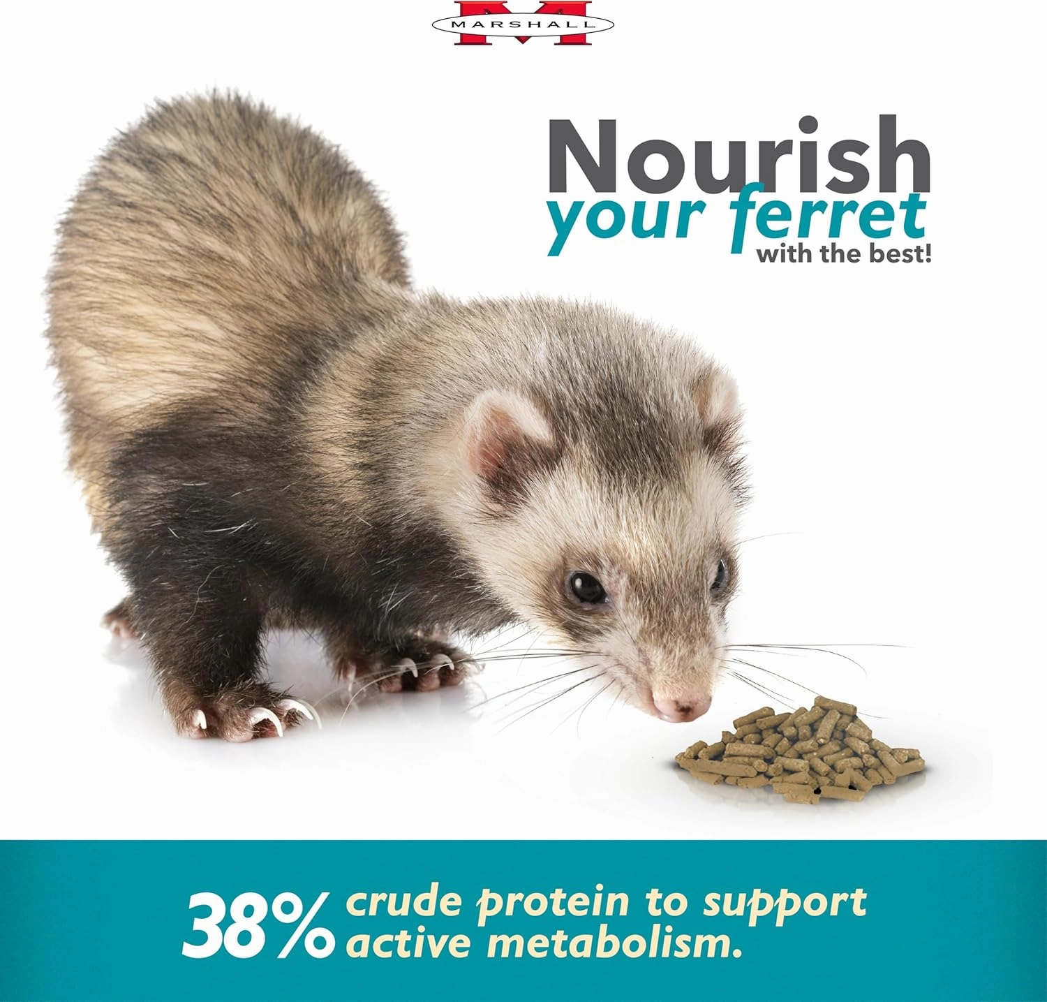 Marshall Pet Products Select Chicken Formula Premium Ferret Diet, 4 lbs – Protein-Rich Food for Balanced Nutrition, Digestive Support (Pack of 2)