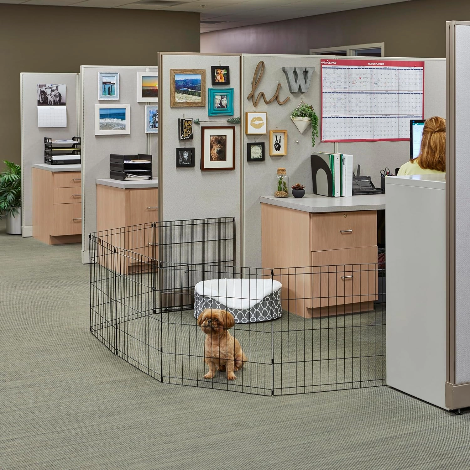 MidWest Homes for Pets Dog Exercise Pen & Playpen, 24" W x 30" W, No Door, Black