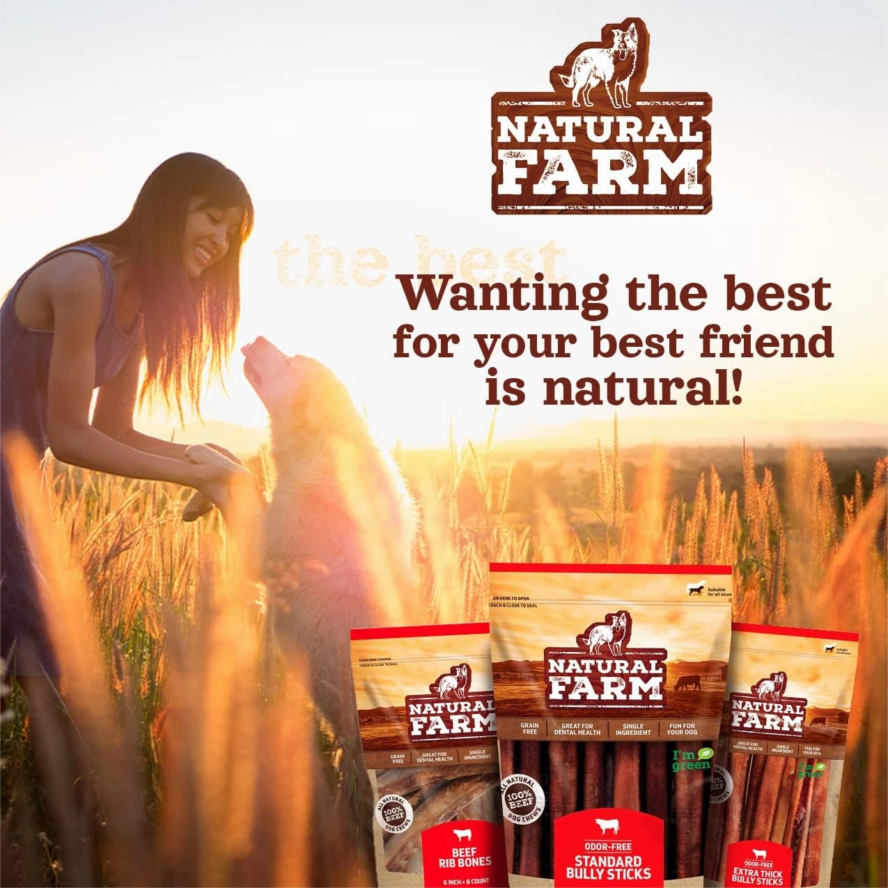 Natural Farm Odor Free Bully Sticks Ring Shaped (3-4 Inch, 10 Pack) - 100% Beef Chews for More Engagement & Fun, Grass-Fed, Non-GMO, Fully Digestible - Best for Small & Medium Chewers