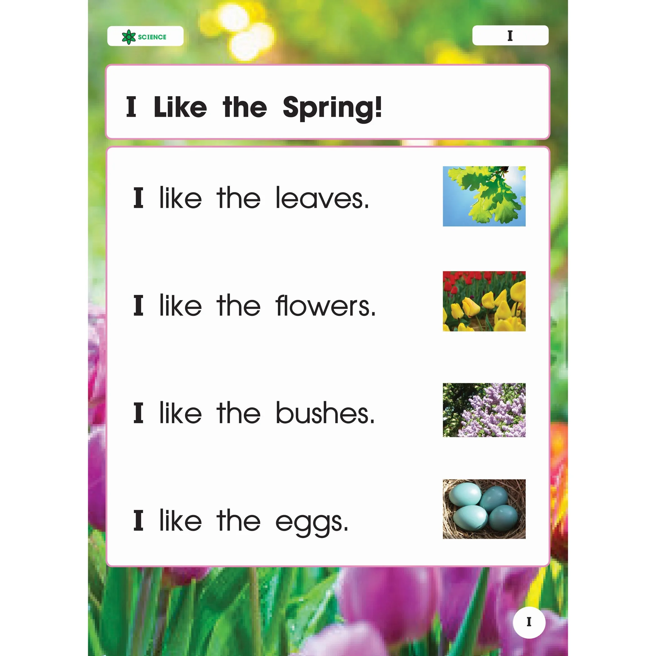 Nonfiction Sight Words Learning Flip Chart