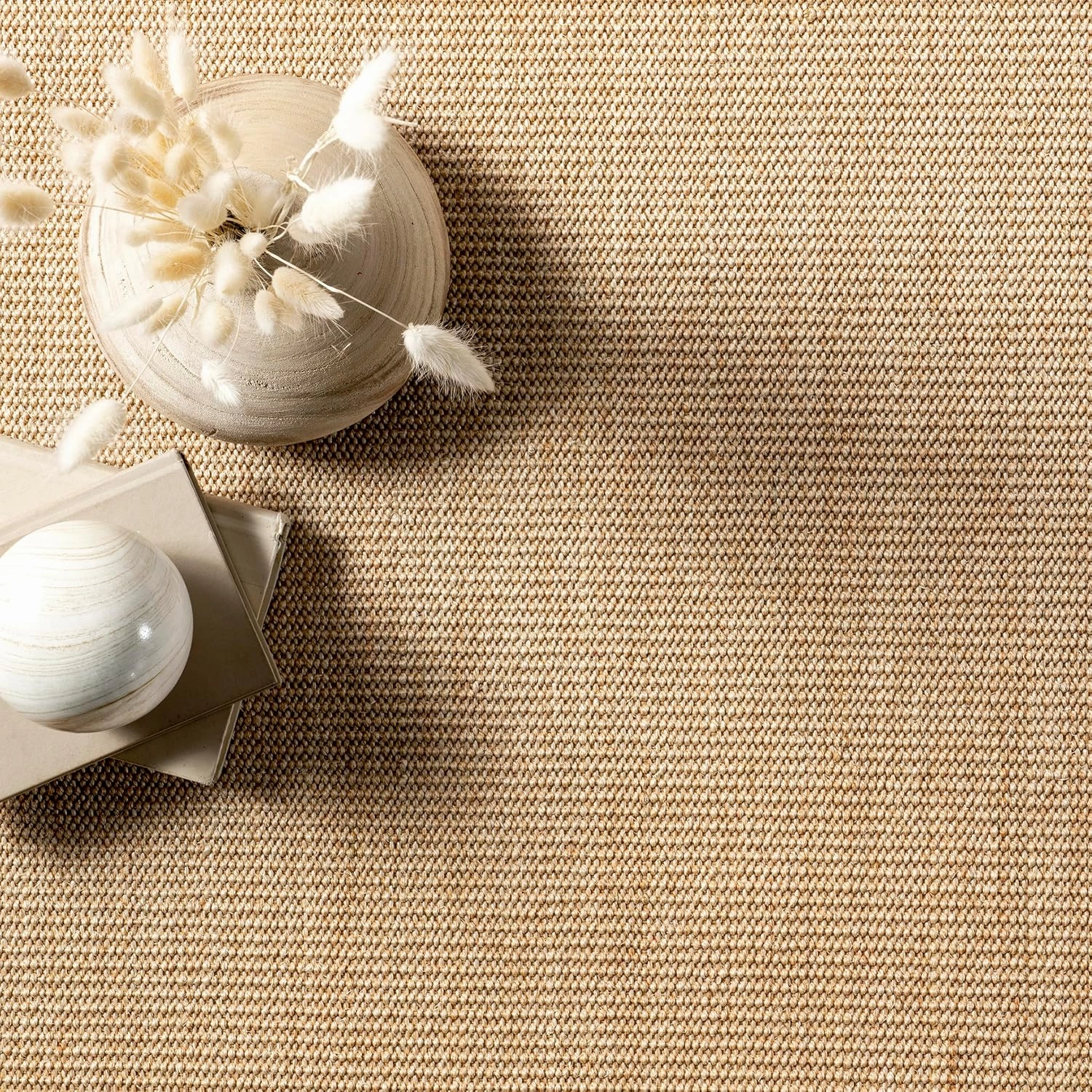 nuLOOM Orsay Casual Sisal Accent Rug, 2x3, Beige