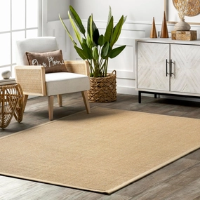 nuLOOM Orsay Casual Sisal Accent Rug, 2x3, Beige