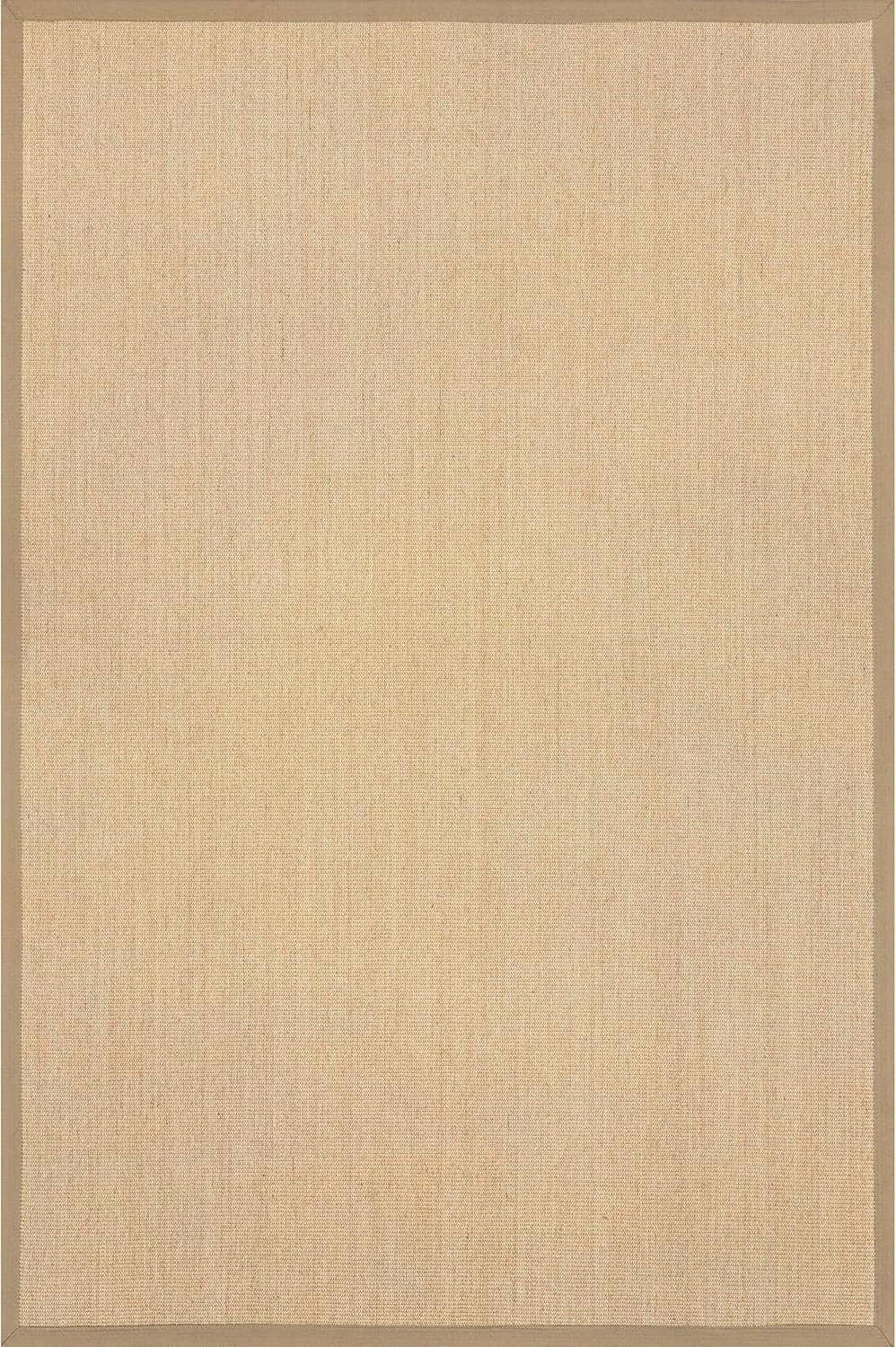 nuLOOM Orsay Casual Sisal Accent Rug, 2x3, Beige