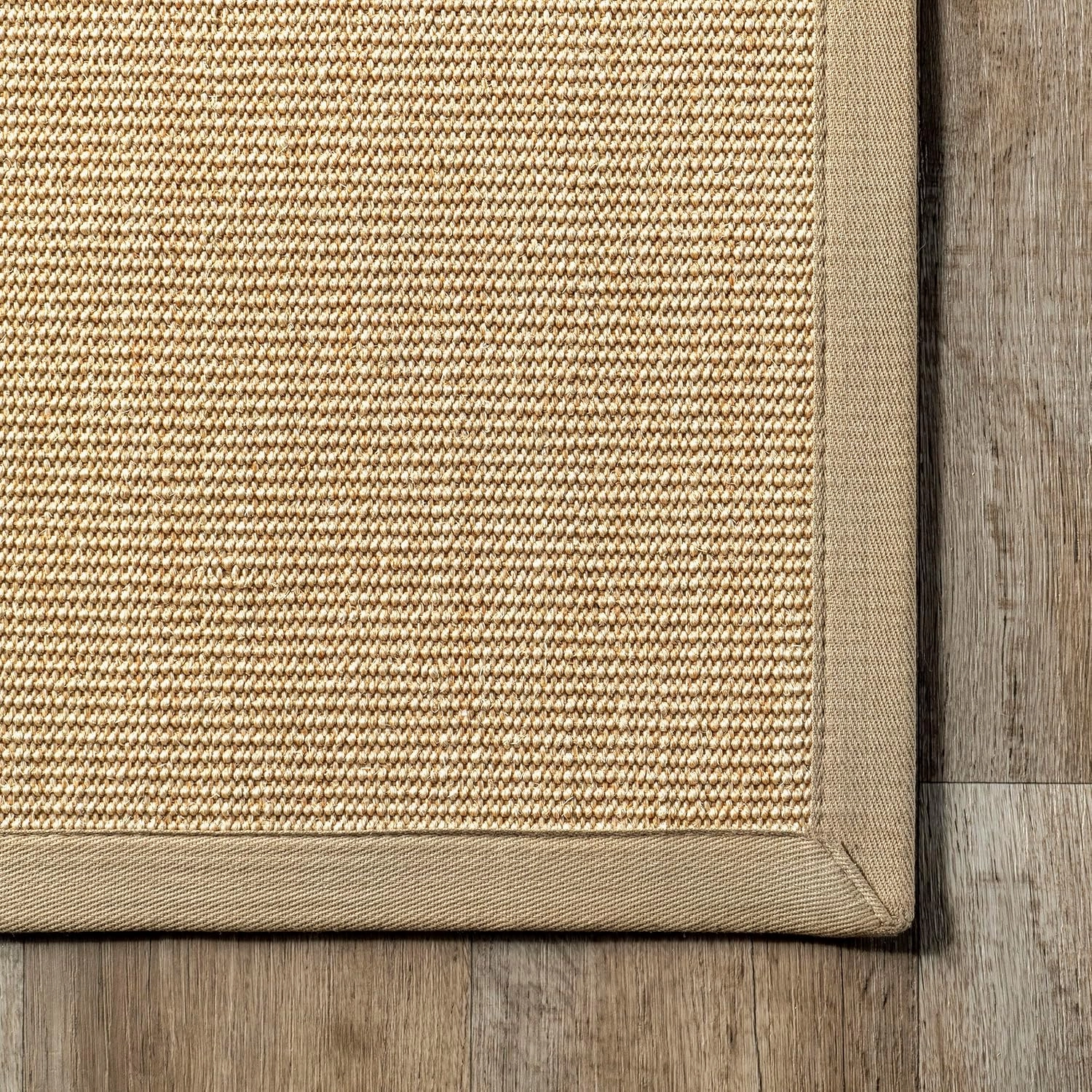 nuLOOM Orsay Casual Sisal Accent Rug, 2x3, Beige