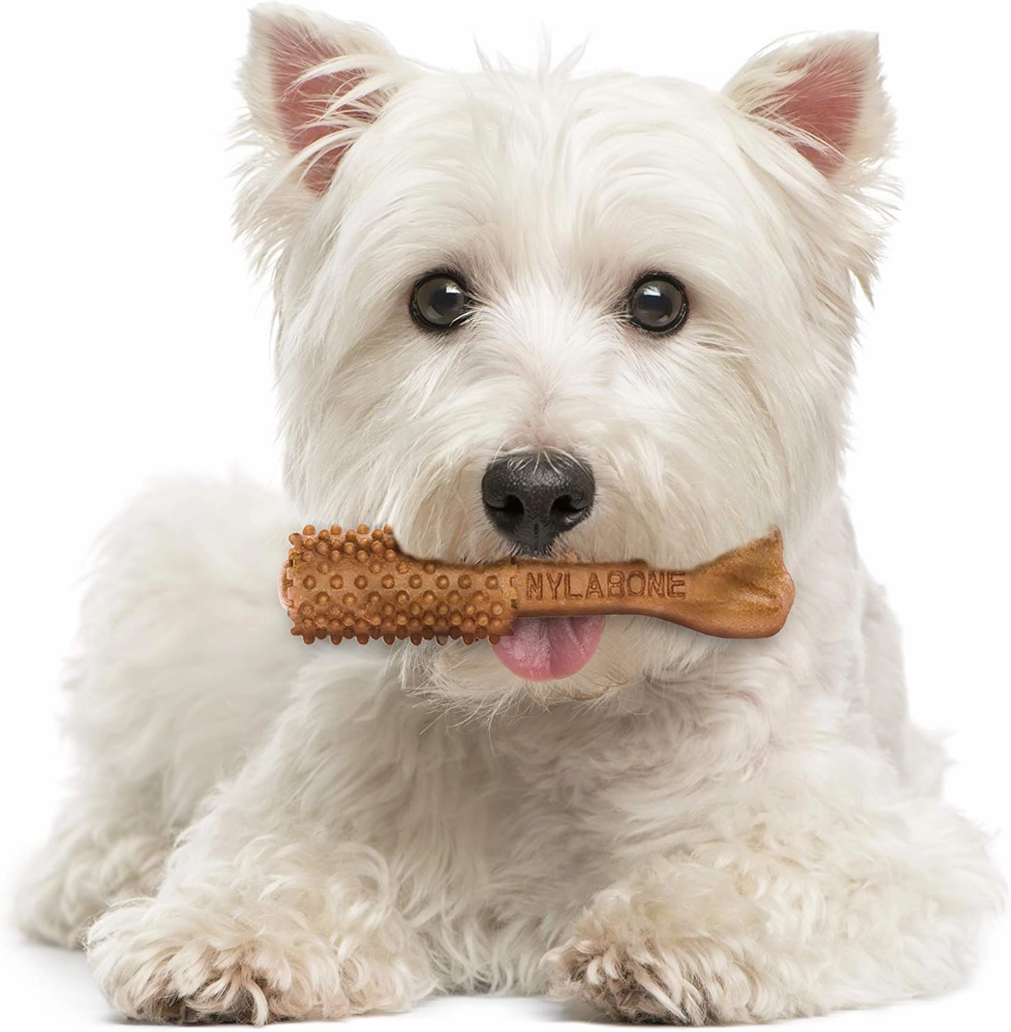Nylabone Nutri Dent Dog Dental Chews - Natural Dog Teeth Cleaning & Breath Freshener - Dental Treats for Dogs - Filet Mignon Flavor, Small (64 Count)