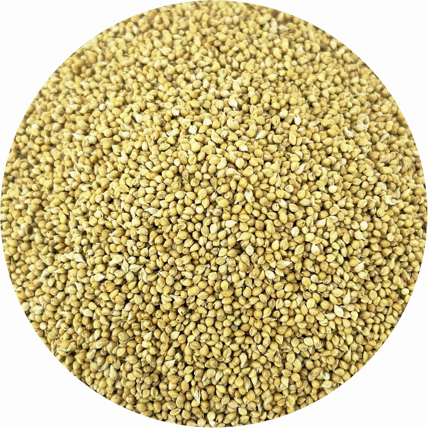 Pacific Organic Petfood Organic Feed Millet - Millet Bird Seed | Rich with Fiber & Minerals | USDA and CCOF Certified | Packed in USA - 2Lbs